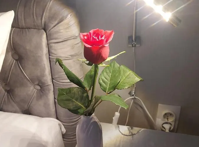 De Luna * 베오그라드